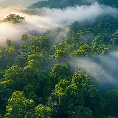 Environmental responsibility